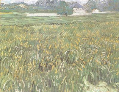 Vincent Van Gogh Wheat Field at Auvers with White House (nn04) Spain oil painting art